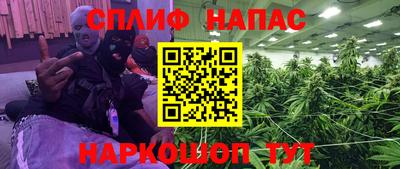 прущие грибы Славянск-на-Кубани