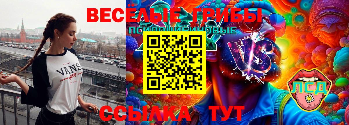 Псилоцибиновые грибы Psilocybe  Вход с VPN  как найти закладки  Петрозаводск 