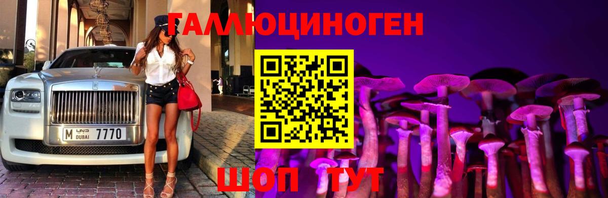Псилоцибиновые грибы Magic Shrooms Петрозаводск